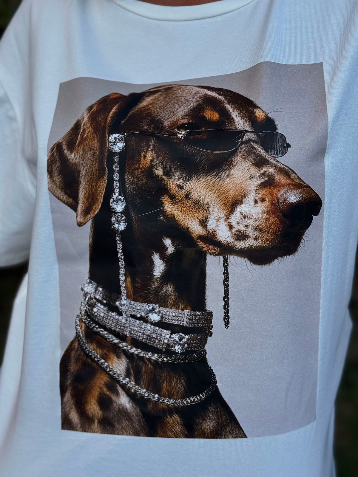 “T-SHIRT DOG” Susy mix