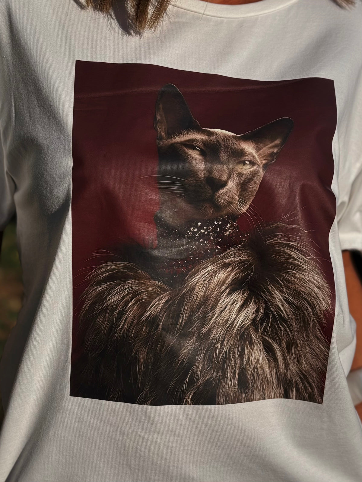 “T-SHIRT CAT” Susy mix